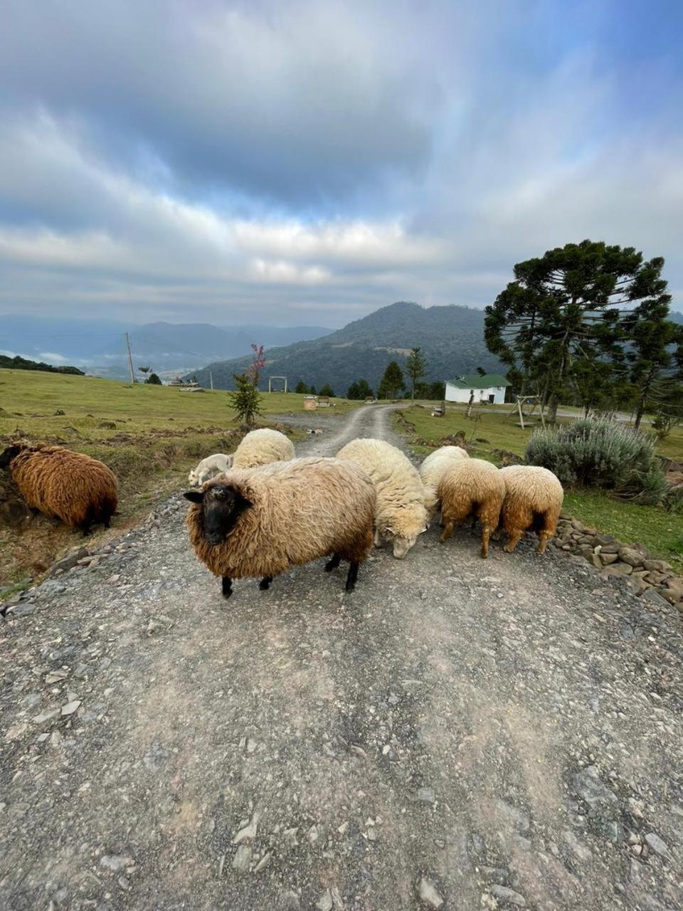 Pousada Colina Dos Ventos - Cabana Monte! อูรูบิซิ ภายนอก รูปภาพ