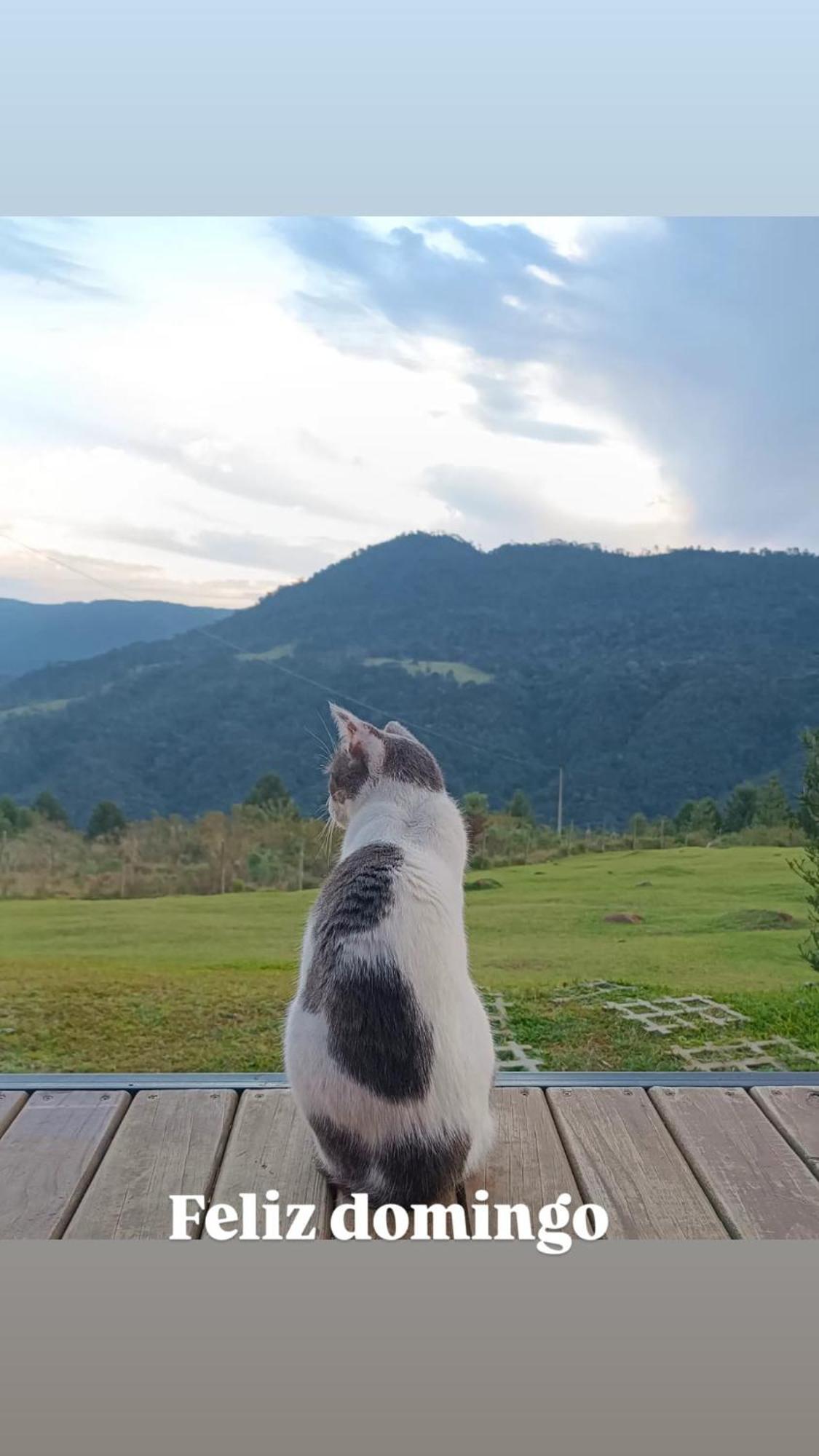 Pousada Colina Dos Ventos - Cabana Monte! อูรูบิซิ ภายนอก รูปภาพ